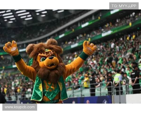 上海申花足球队：历程、辉煌与未来发展前景探讨